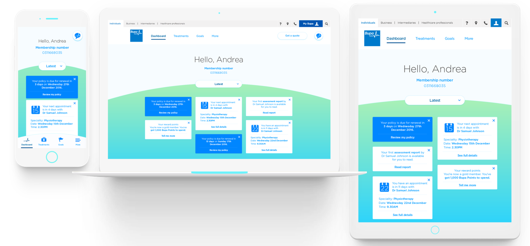 BUPA Interface Design 1